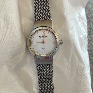 Ladies Skagen Stainless Steel Quartz Two-toned